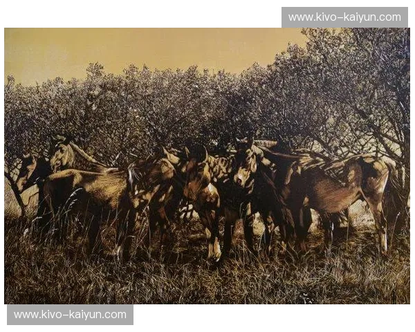 【深度】斑马的黑白艺术与狼的丛林法则：生存场上的终极博弈与共生